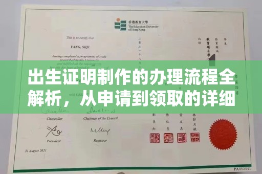 赫山出生证明制作的办理流程全解析，从申请到领取的详细指南